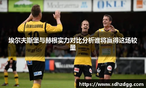 埃尔夫斯堡与赫根实力对比分析谁将赢得这场较量